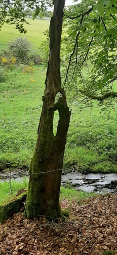 Heilhausen: Wanderweg 87