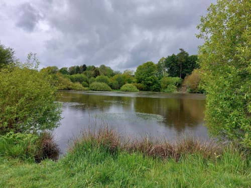 Von Steffeln zum Eichholzmaar