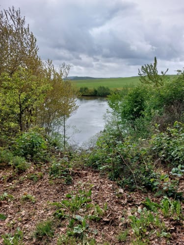 Von Steffeln zum Eichholzmaar