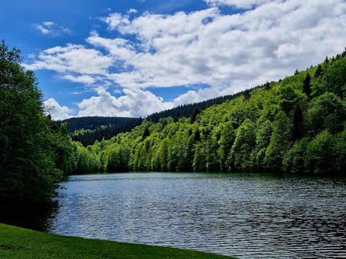 Rund um das Naturschutzgebiet Bruchhauser Steine