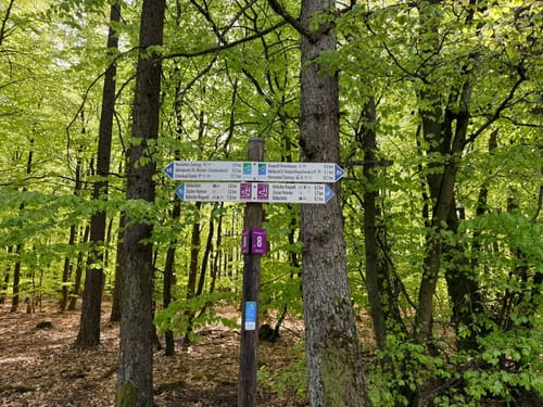 Dollbergschleife (Traumschleife)