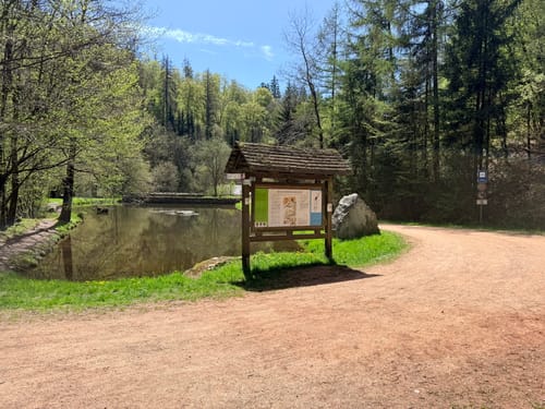 Dollbergschleife (Traumschleife)