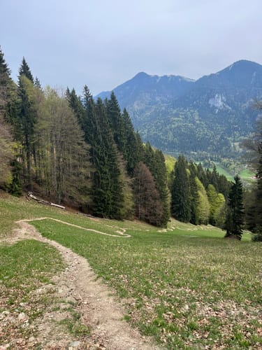 Hirschberg von Kreuth-Scharling