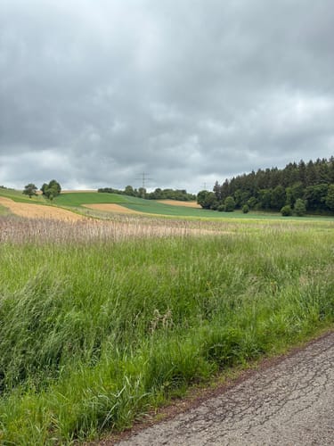 Kraichgaulauf (Halbmarathon)