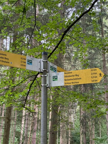 Kraichgaulauf (Halbmarathon)