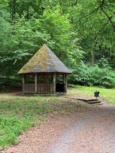 Kraichgaulauf (Halbmarathon)