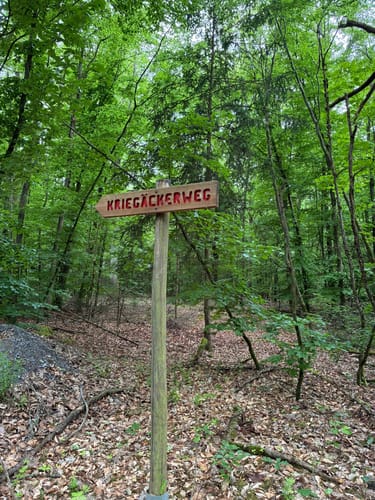 Kraichgaulauf (Halbmarathon)