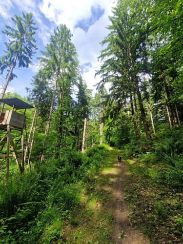 Rundwanderweg durchs  Goldsteintal von Rambach