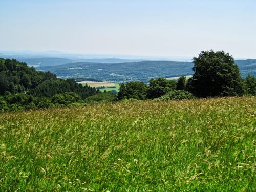Hochrhöner Etappe 2: Stralsbach - Oberweißenbrunn