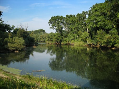 Am Rhein von Speyer nach Leimersheim