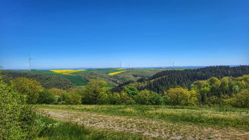 Monrealer Ritterschlag (Traumpfad)