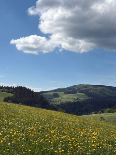 St.Märgen - St.Peter Runde