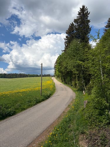St.Märgen - St.Peter Runde