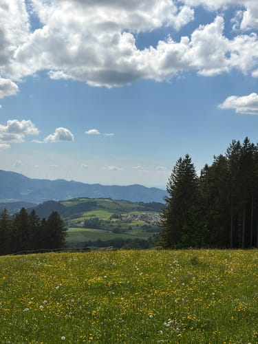 St.Märgen - St.Peter Runde