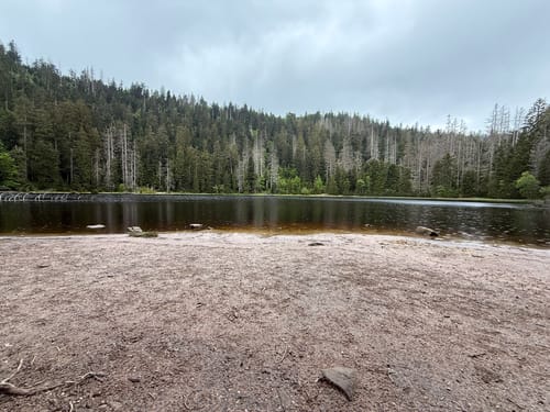 Von Ruhestein zum Wildsee