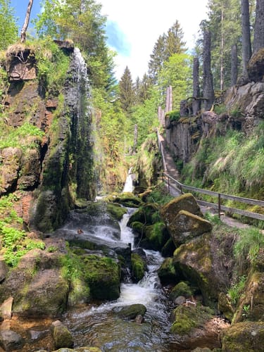 Menzenschwander Geißenpfad (Genießerpfad)