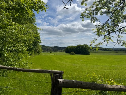 EifelSchleife Milchweg