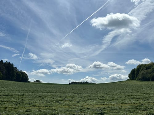 Vom Forsthaus zum Hustley