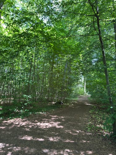 Kesselbruchweiher und Jacobiweiher ab Spielpark Tannenwald