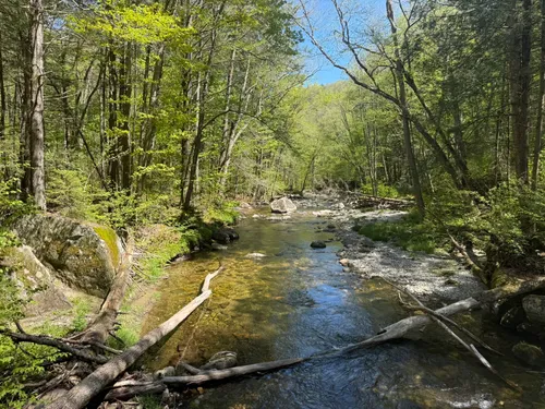 Best forest trails in Monroe State Forest | AllTrails