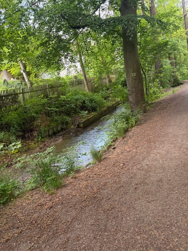 Jenaer Forst Rundweg