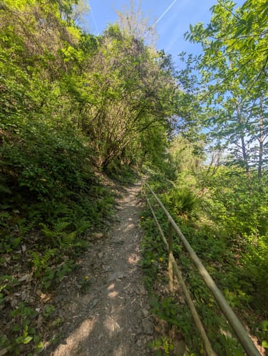 St.Goar Höhenweg Variante