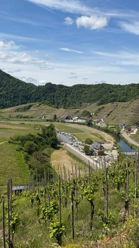 Von Mayschoß auf den Steinerberg 