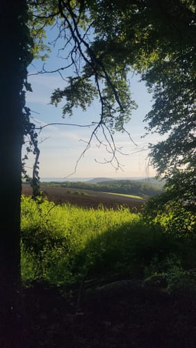 Vier-Berge und Waldsee (Traumpfad)