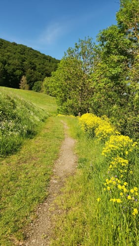 Vier-Berge und Waldsee (Traumpfad)
