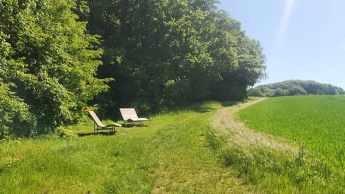 Vier-Berge und Waldsee (Traumpfad)