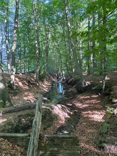 Sommerlauf