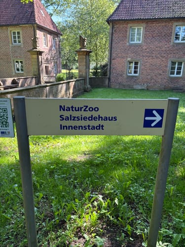 Sommerlauf