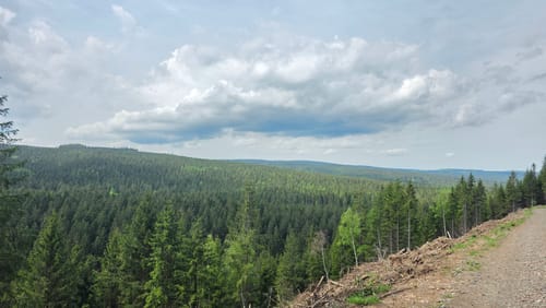 Alte Tambacher Talsperre Rundwanderung