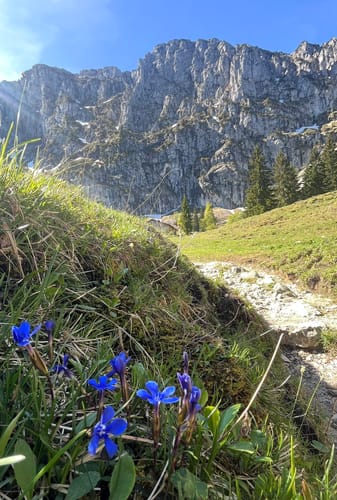 Tutzinger Hütte von Gschwendt