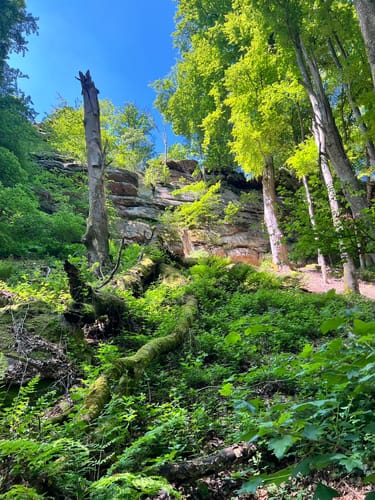 Auf der Spur des Drachen: Rundwanderweg Drachenfels