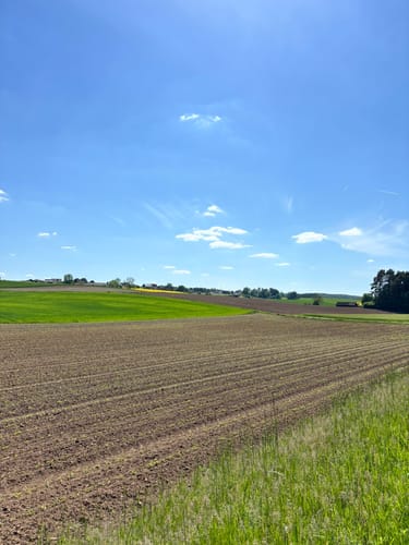 Geißbock-Runde