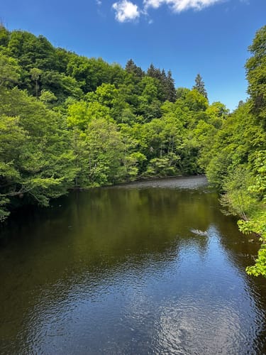Um das Staubecken in Heimbach