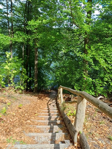 Um den Liepnitzsee bei Wandlitz
