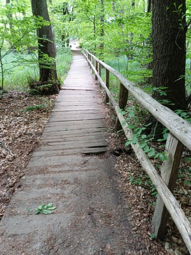 Um den Liepnitzsee bei Wandlitz
