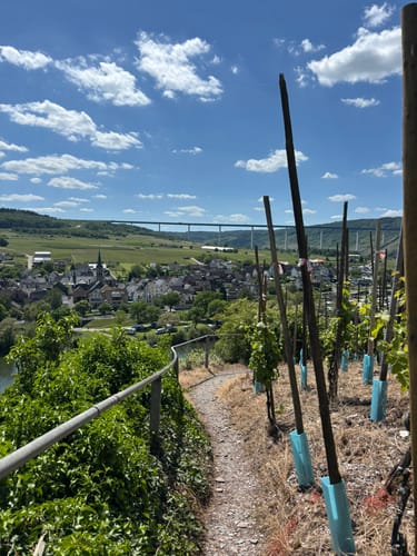Kletterweg Erdener Treppchen