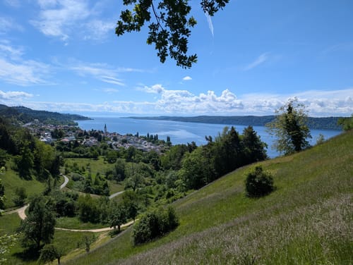 Von Sippingen zum Haldenhof
