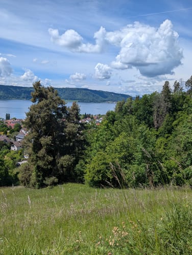 Von Sippingen zum Haldenhof