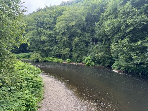 Große Biggesee-Runde ab Hitzendumicke