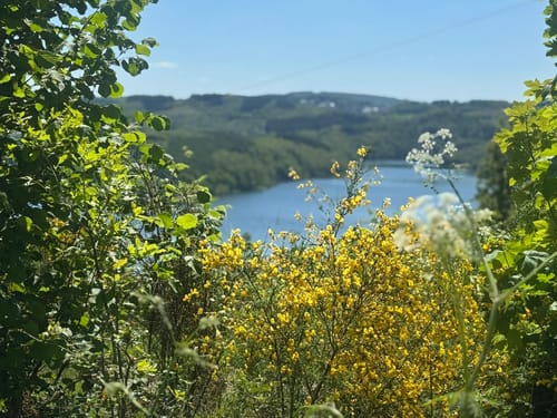 Große Biggesee-Runde ab Hitzendumicke