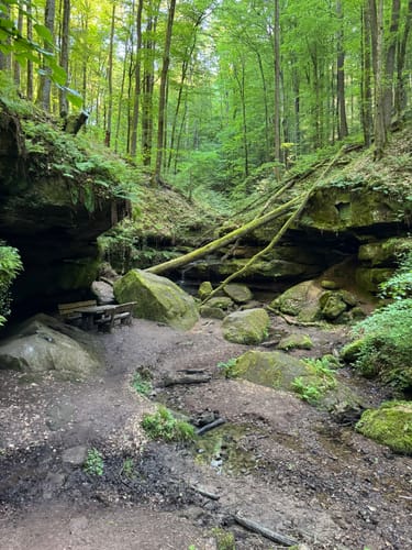 Hexenklamm (Premiumwanderweg)