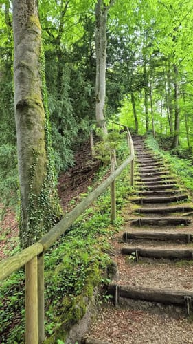 Thumsee zur Ruine Karlstein