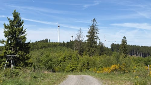 Siegerland-Höhenring Etappe 6: Rahrbacher Höhe - Hilchenbach