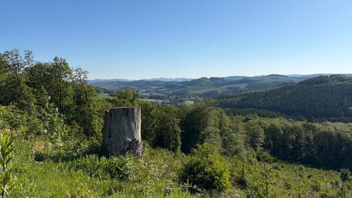 Siegerland-Höhenring Etappe 6: Rahrbacher Höhe - Hilchenbach