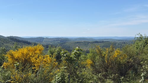 Siegerland-Höhenring Etappe 6: Rahrbacher Höhe - Hilchenbach