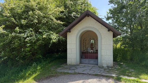 Bird Watching Runde: Von Vogelsang über die Urftseebrücke